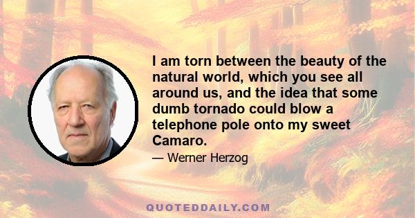 I am torn between the beauty of the natural world, which you see all around us, and the idea that some dumb tornado could blow a telephone pole onto my sweet Camaro.