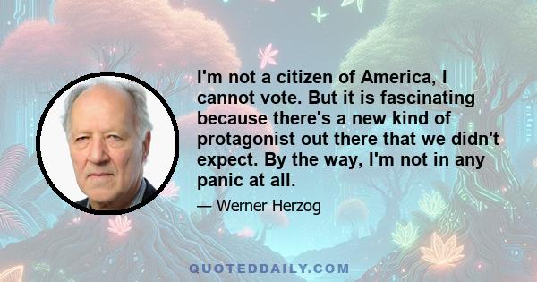 I'm not a citizen of America, I cannot vote. But it is fascinating because there's a new kind of protagonist out there that we didn't expect. By the way, I'm not in any panic at all.