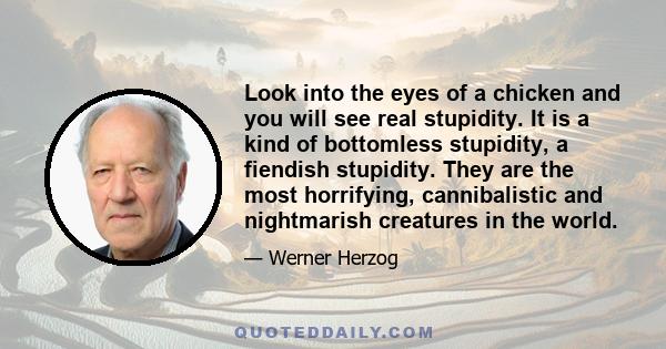 Look into the eyes of a chicken and you will see real stupidity. It is a kind of bottomless stupidity, a fiendish stupidity. They are the most horrifying, cannibalistic and nightmarish creatures in the world.