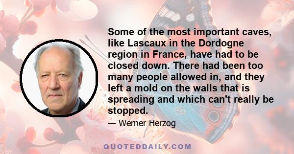 Some of the most important caves, like Lascaux in the Dordogne region in France, have had to be closed down. There had been too many people allowed in, and they left a mold on the walls that is spreading and which can't 