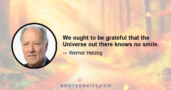 We ought to be grateful that the Universe out there knows no smile.