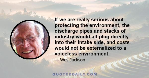 If we are really serious about protecting the environment, the discharge pipes and stacks of industry would all plug directly into their intake side, and costs would not be externalized to a voiceless environment.