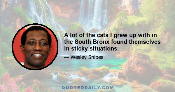 A lot of the cats I grew up with in the South Bronx found themselves in sticky situations.