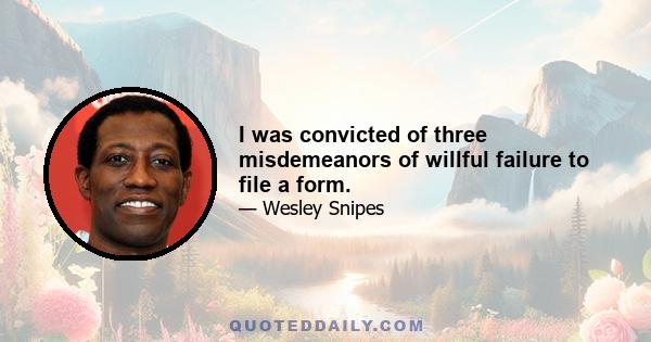 I was convicted of three misdemeanors of willful failure to file a form.