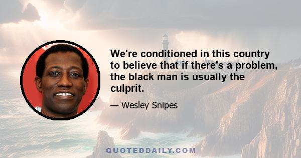 We're conditioned in this country to believe that if there's a problem, the black man is usually the culprit.