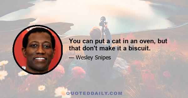 You can put a cat in an oven, but that don't make it a biscuit.