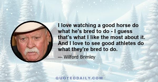 I love watching a good horse do what he's bred to do - I guess that's what I like the most about it. And I love to see good athletes do what they're bred to do.