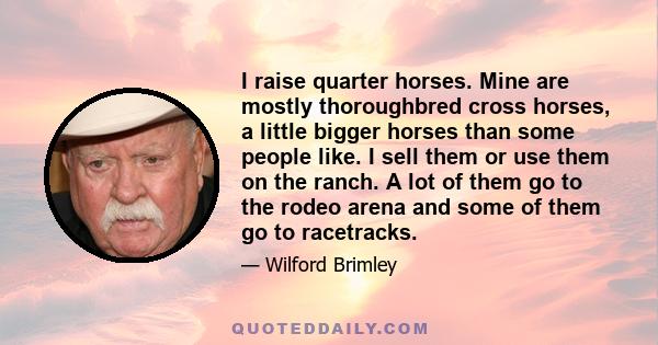 I raise quarter horses. Mine are mostly thoroughbred cross horses, a little bigger horses than some people like. I sell them or use them on the ranch. A lot of them go to the rodeo arena and some of them go to