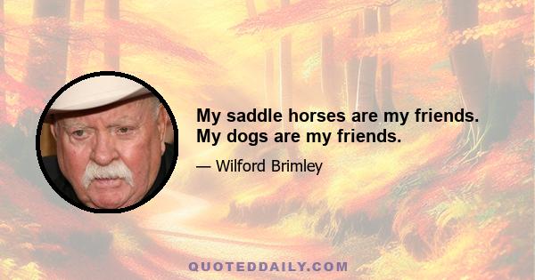 My saddle horses are my friends. My dogs are my friends.