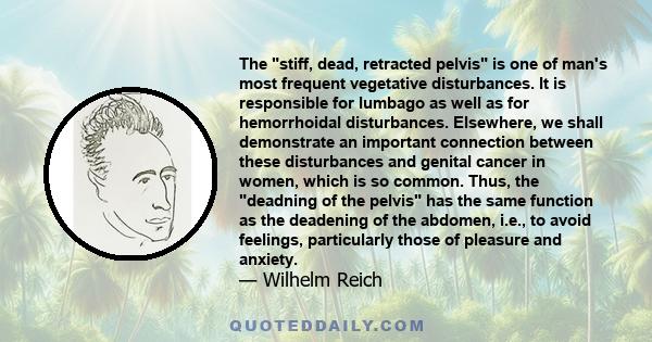 The stiff, dead, retracted pelvis is one of man's most frequent vegetative disturbances. It is responsible for lumbago as well as for hemorrhoidal disturbances. Elsewhere, we shall demonstrate an important connection