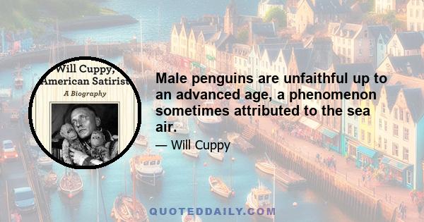 Male penguins are unfaithful up to an advanced age, a phenomenon sometimes attributed to the sea air.