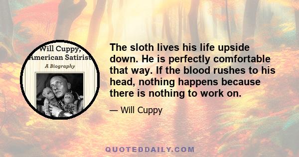 The sloth lives his life upside down. He is perfectly comfortable that way. If the blood rushes to his head, nothing happens because there is nothing to work on.