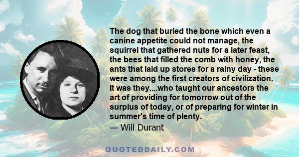 The dog that buried the bone which even a canine appetite could not manage, the squirrel that gathered nuts for a later feast, the bees that filled the comb with honey, the ants that laid up stores for a rainy day -