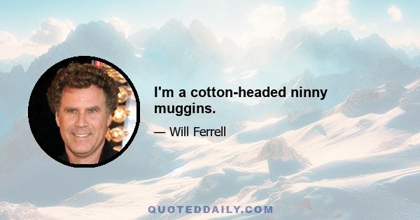 I'm a cotton-headed ninny muggins.