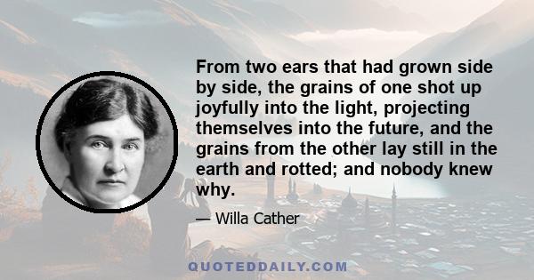 From two ears that had grown side by side, the grains of one shot up joyfully into the light, projecting themselves into the future, and the grains from the other lay still in the earth and rotted; and nobody knew why.