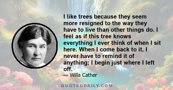 I like trees because they seem more resigned to the way they have to live than other things do. I feel as if this tree knows everything I ever think of when I sit here. When I come back to it, I never have to remind it