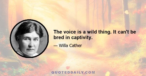 The voice is a wild thing. It can't be bred in captivity.