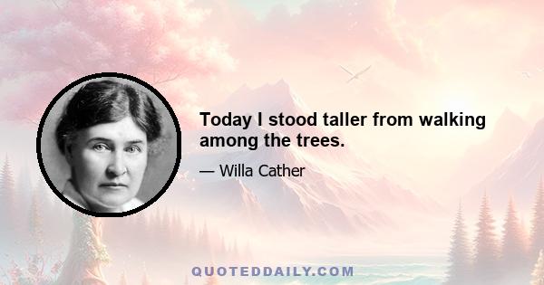 Today I stood taller from walking among the trees.