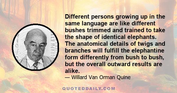 Different persons growing up in the same language are like different bushes trimmed and trained to take the shape of identical elephants. The anatomical details of twigs and branches will fulfill the elephantine form