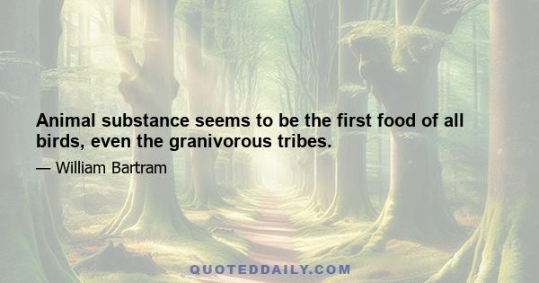 Animal substance seems to be the first food of all birds, even the granivorous tribes.