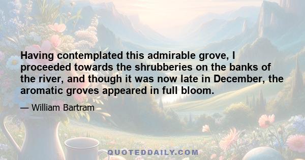 Having contemplated this admirable grove, I proceeded towards the shrubberies on the banks of the river, and though it was now late in December, the aromatic groves appeared in full bloom.