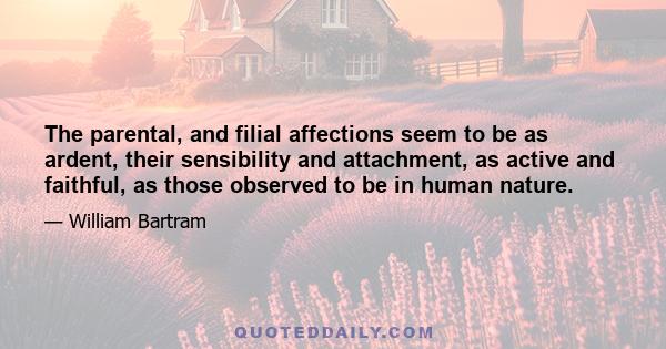 The parental, and filial affections seem to be as ardent, their sensibility and attachment, as active and faithful, as those observed to be in human nature.