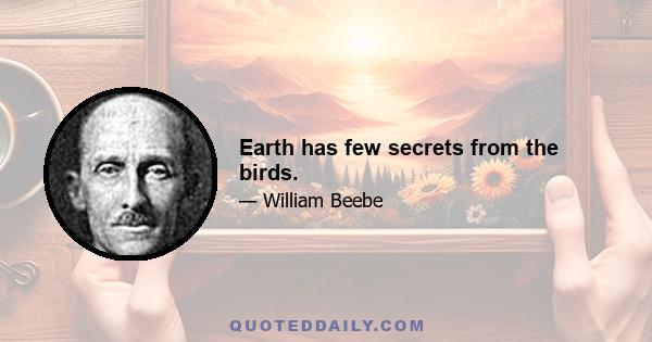 Earth has few secrets from the birds.