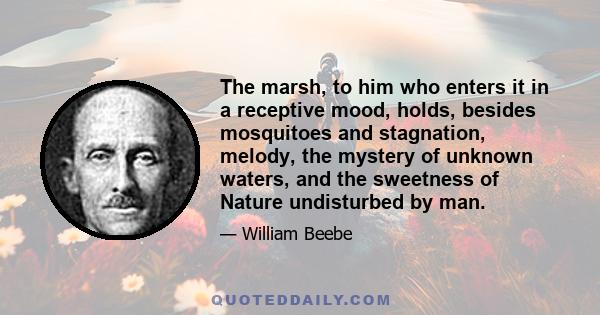 The marsh, to him who enters it in a receptive mood, holds, besides mosquitoes and stagnation, melody, the mystery of unknown waters, and the sweetness of Nature undisturbed by man.