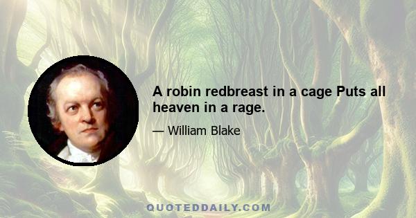 A robin redbreast in a cage Puts all heaven in a rage.