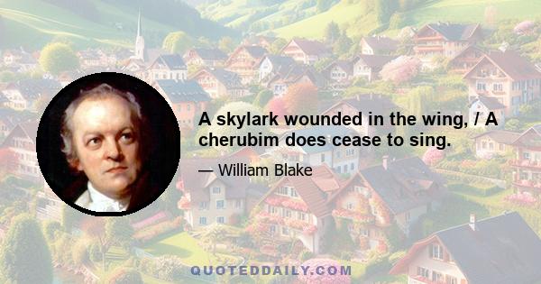 A skylark wounded in the wing, / A cherubim does cease to sing.