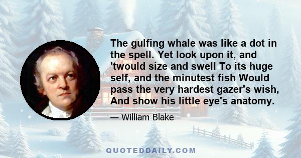 The gulfing whale was like a dot in the spell. Yet look upon it, and 'twould size and swell To its huge self, and the minutest fish Would pass the very hardest gazer's wish, And show his little eye's anatomy.