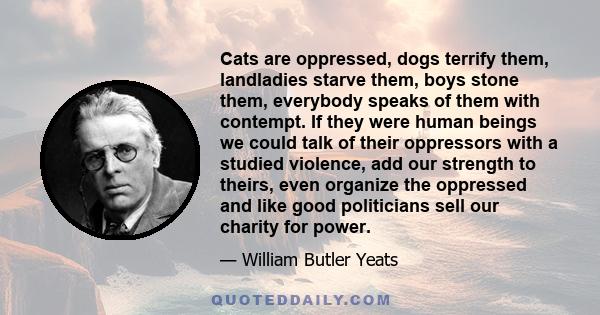 Cats are oppressed, dogs terrify them, landladies starve them, boys stone them, everybody speaks of them with contempt. If they were human beings we could talk of their oppressors with a studied violence, add our