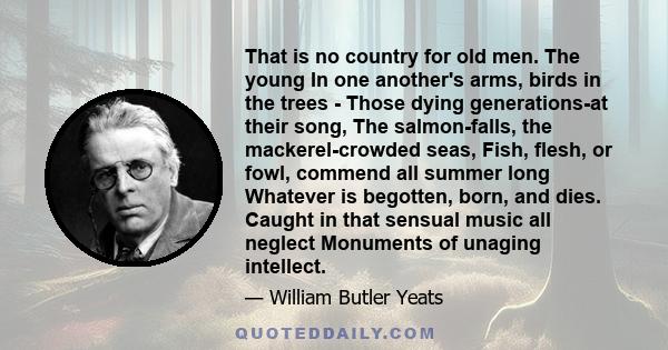 That is no country for old men. The young In one another's arms, birds in the trees - Those dying generations-at their song, The salmon-falls, the mackerel-crowded seas, Fish, flesh, or fowl, commend all summer long