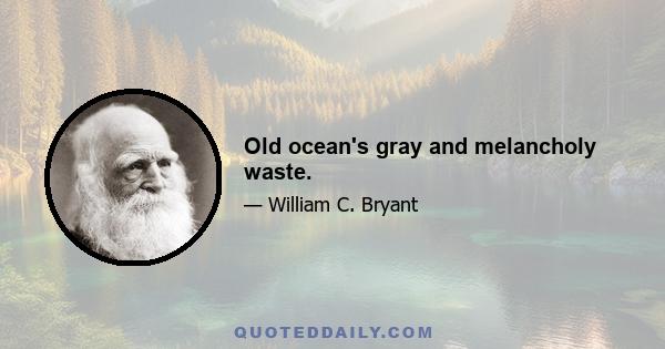 Old ocean's gray and melancholy waste.