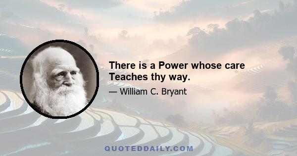 There is a Power whose care Teaches thy way.