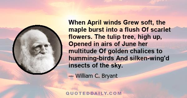 When April winds Grew soft, the maple burst into a flush Of scarlet flowers. The tulip tree, high up, Opened in airs of June her multitude Of golden chalices to humming-birds And silken-wing'd insects of the sky.