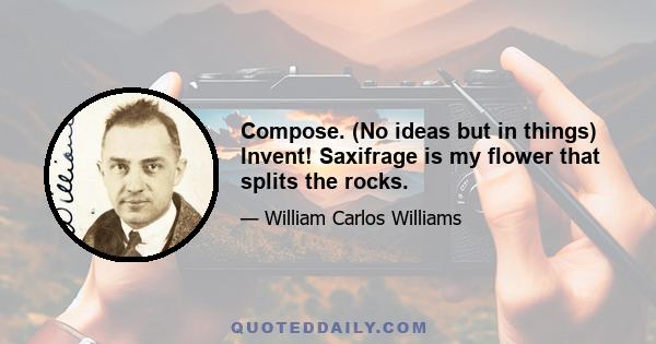 Compose. (No ideas but in things) Invent! Saxifrage is my flower that splits the rocks.