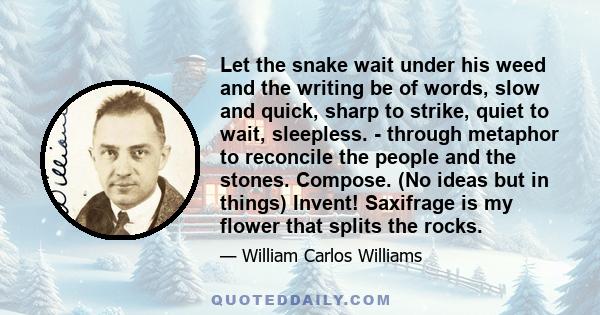 Let the snake wait under his weed and the writing be of words, slow and quick, sharp to strike, quiet to wait, sleepless. - through metaphor to reconcile the people and the stones. Compose. (No ideas but in things)