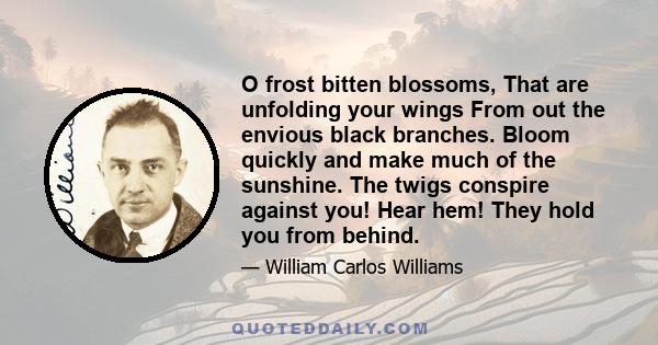 O frost bitten blossoms, That are unfolding your wings From out the envious black branches. Bloom quickly and make much of the sunshine. The twigs conspire against you! Hear hem! They hold you from behind.