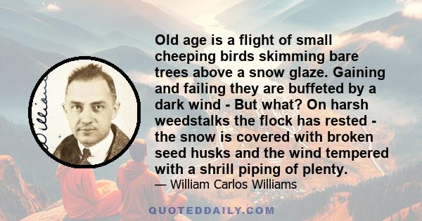 Old age is a flight of small cheeping birds skimming bare trees above a snow glaze. Gaining and failing they are buffeted by a dark wind - But what? On harsh weedstalks the flock has rested - the snow is covered with