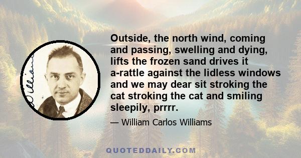 Outside, the north wind, coming and passing, swelling and dying, lifts the frozen sand drives it a-rattle against the lidless windows and we may dear sit stroking the cat stroking the cat and smiling sleepily, prrrr.