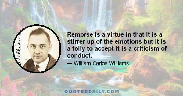 Remorse is a virtue in that it is a stirrer up of the emotions but it is a folly to accept it is a criticism of conduct.