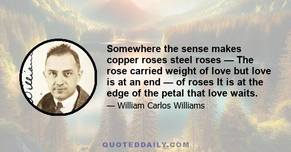 Somewhere the sense makes copper roses steel roses — The rose carried weight of love but love is at an end — of roses It is at the edge of the petal that love waits.