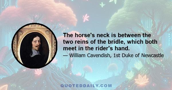 The horse's neck is between the two reins of the bridle, which both meet in the rider's hand.