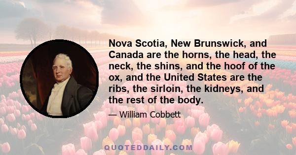 Nova Scotia, New Brunswick, and Canada are the horns, the head, the neck, the shins, and the hoof of the ox, and the United States are the ribs, the sirloin, the kidneys, and the rest of the body.