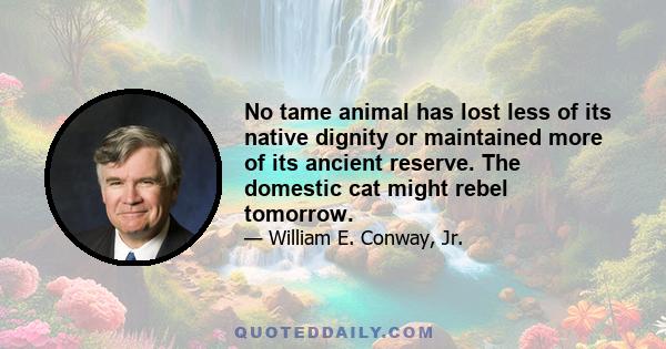 No tame animal has lost less of its native dignity or maintained more of its ancient reserve. The domestic cat might rebel tomorrow.