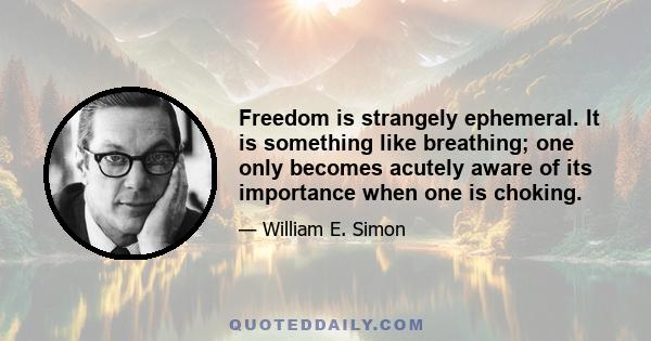 Freedom is strangely ephemeral. It is something like breathing; one only becomes acutely aware of its importance when one is choking.