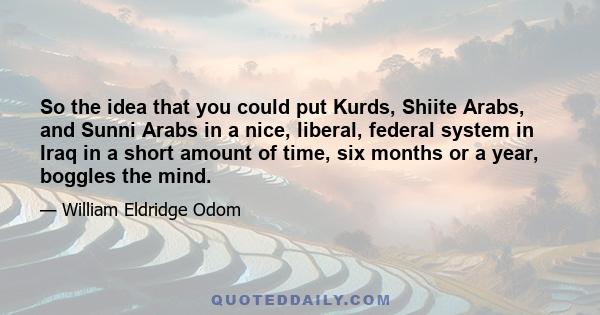 So the idea that you could put Kurds, Shiite Arabs, and Sunni Arabs in a nice, liberal, federal system in Iraq in a short amount of time, six months or a year, boggles the mind.