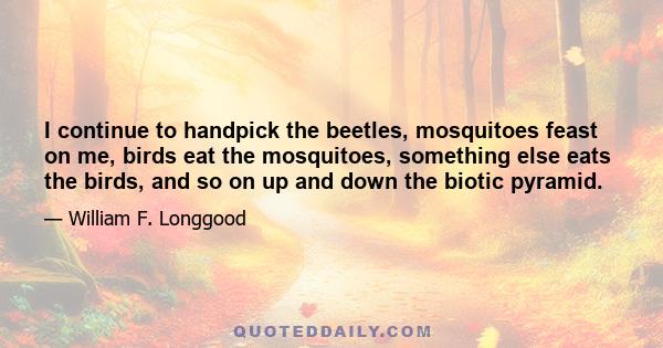 I continue to handpick the beetles, mosquitoes feast on me, birds eat the mosquitoes, something else eats the birds, and so on up and down the biotic pyramid.