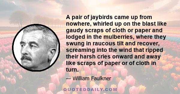 A pair of jaybirds came up from nowhere, whirled up on the blast like gaudy scraps of cloth or paper and lodged in the mulberries, where they swung in raucous tilt and recover, screaming into the wind that ripped their